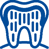 Dentina
